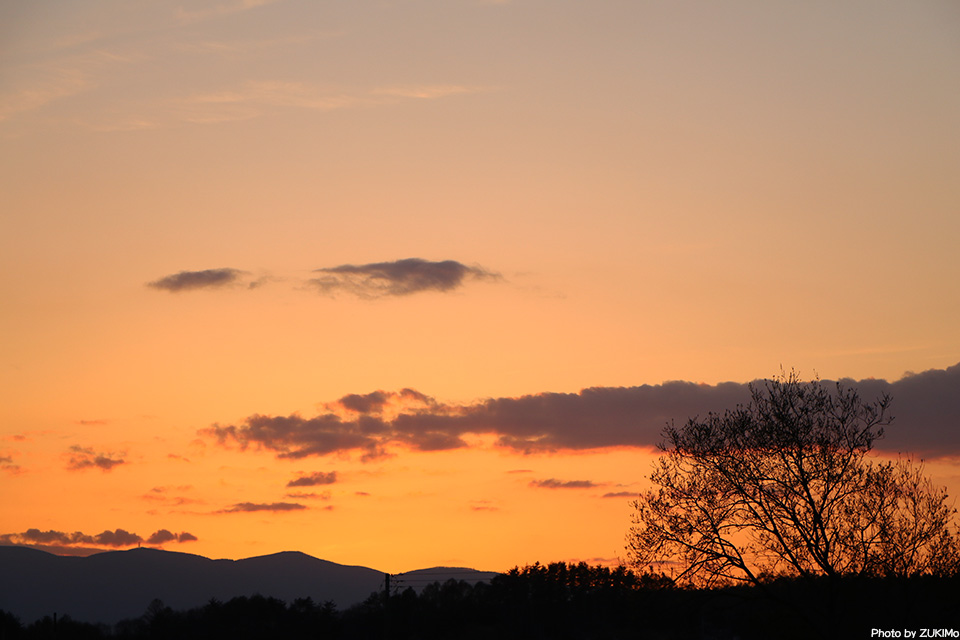 パステルオレンジの夕焼けと新たな始まり